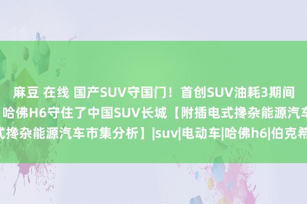 麻豆 在线 国产SUV守国门！首创SUV油耗3期间！比亚迪大赞长城汽车：哈佛H6守住了中国SUV长城【附插电式搀杂能源汽车市集分析】|suv|电动车|哈佛h6|伯克希尔·哈撒韦