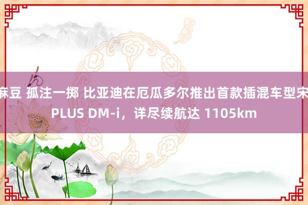 麻豆 孤注一掷 比亚迪在厄瓜多尔推出首款插混车型宋 PLUS DM-i，详尽续航达 1105km