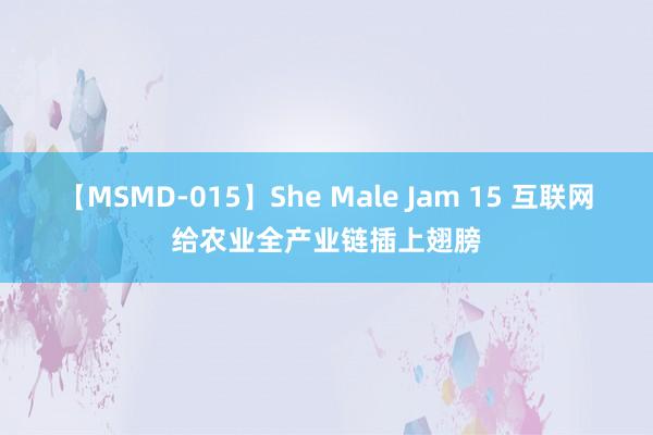 【MSMD-015】She Male Jam 15 互联网给农业全产业链插上翅膀