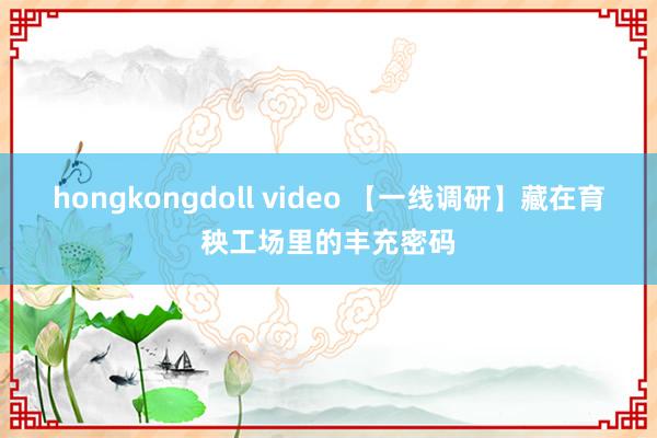 hongkongdoll video 【一线调研】藏在育秧工场里的丰充密码