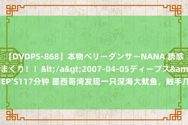 【DVDPS-868】本物ベリーダンサーNANA 誘惑の腰使いで潮吹きまくり！！</a>2007-04-05ディープス&$DEEP’S117分钟 墨西哥湾发现一只深海大鱿鱼，触手几米长，眼见记载次数约为12次