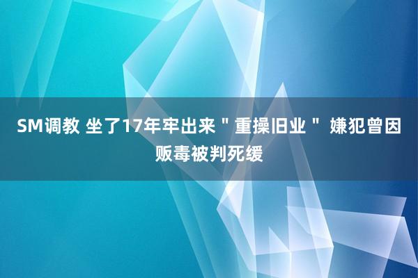 SM调教 坐了17年牢出来＂重操旧业＂ 嫌犯曾因贩毒被判死缓