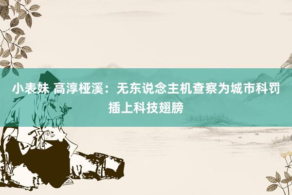 小表妹 高淳桠溪：无东说念主机查察为城市科罚插上科技翅膀