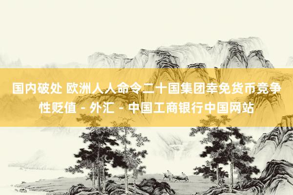 国内破处 欧洲人人命令二十国集团幸免货币竞争性贬值－外汇－中国工商银行中国网站