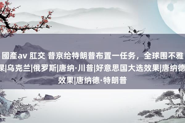 國產av 肛交 普京给特朗普布置一任务，全球围不雅他交功课|乌克兰|俄罗斯|唐纳·川普|好意思国大选效果|唐纳德·特朗普