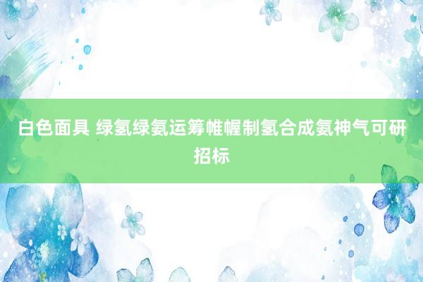 白色面具 绿氢绿氨运筹帷幄制氢合成氨神气可研招标