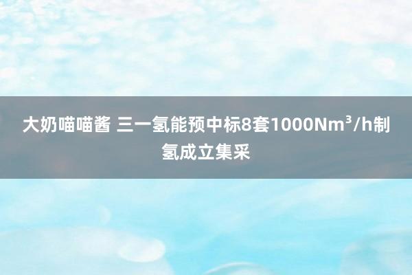 大奶喵喵酱 三一氢能预中标8套1000Nm³/h制氢成立集采