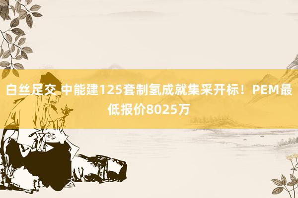 白丝足交 中能建125套制氢成就集采开标！PEM最低报价8025万