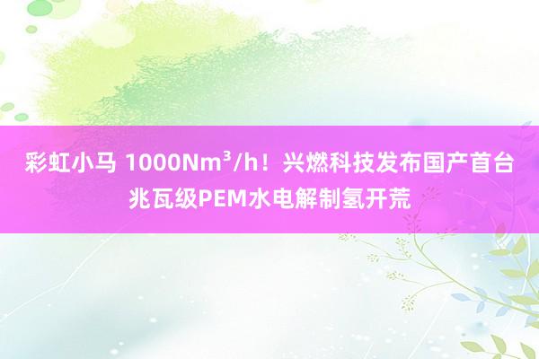 彩虹小马 1000Nm³/h！兴燃科技发布国产首台兆瓦级PEM水电解制氢开荒