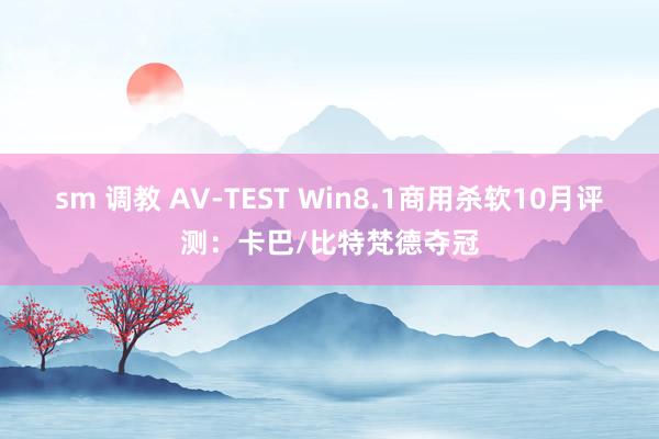 sm 调教 AV-TEST Win8.1商用杀软10月评测：卡巴/比特梵德夺冠